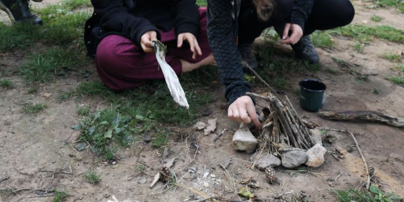 feuer-naturschule-söhrewald_wild