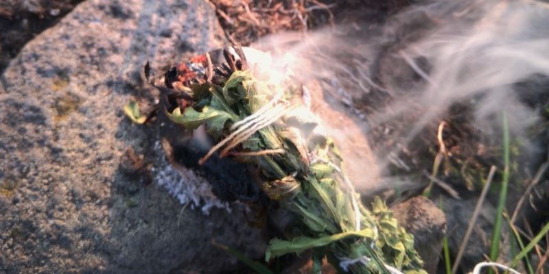 r&auml;uchern-wildkr&auml;uter-nordhessen-r&auml;ucherzeremonie