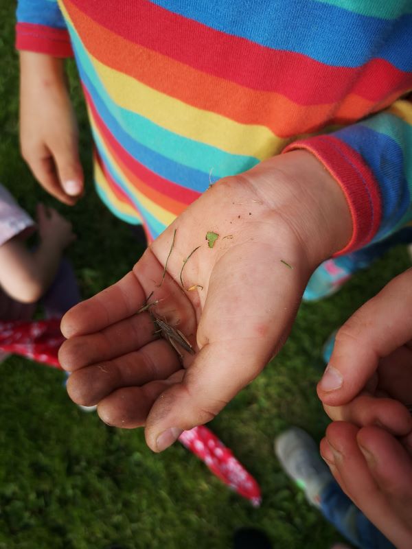 kindergeburtstag-drau&szlig;en-natur-kassel