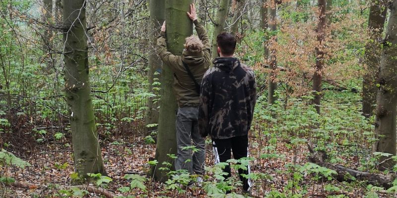 naturverbindung-spiel-baum