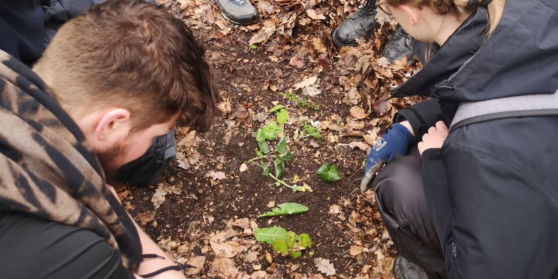 wildnispädagogik-spiel-coyote teaching